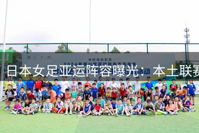 日本女足亚运阵容曝光：本土联赛挑大梁 仅1名海归球员入围