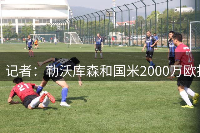 记者：勒沃库森和国米2000万欧报价迪亚比，但吉达联合未接受